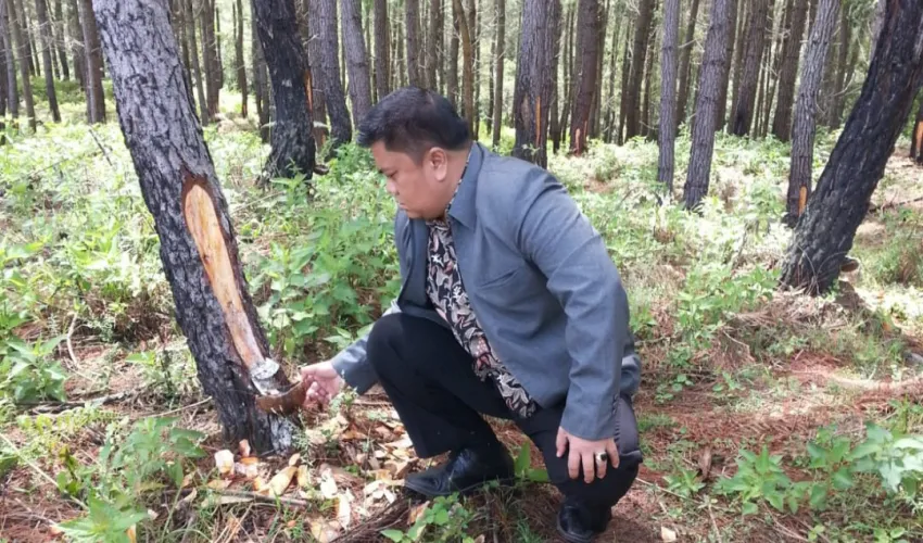 Our Business PERKEBUNAN 1 marzuki_abdullah