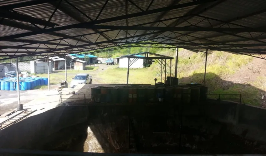 Our Business PERKEBUNAN 2 whatsapp_image_2021_10_11_at_15_26_19_1