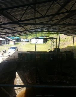 PERKEBUNAN 17
