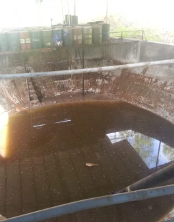 PERKEBUNAN 15