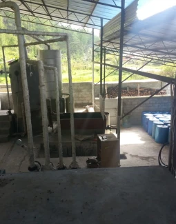 PERKEBUNAN 13
