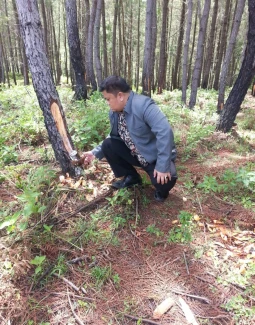 PERKEBUNAN 9