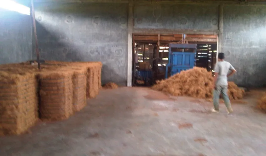 Our Business PERKEBUNAN 16 whatsapp_image_2021_10_11_at_15_28_37_1